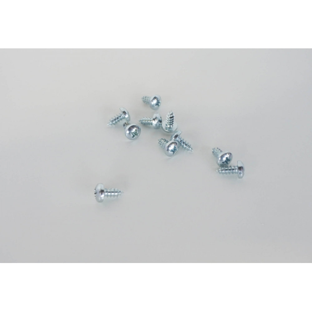 RIC Vite tcb 8px9,5mm 10 pezzi RIC Vite tcb 8px9,5mm 10 pezzi