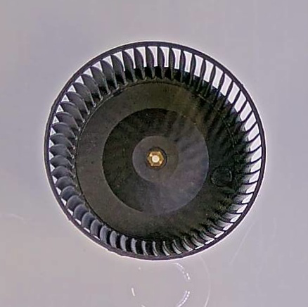 GIRANTE ASS.SX (V2)