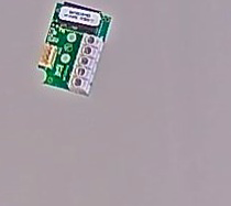 EXIT CARD AUXILIARY EV