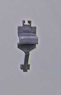 COPERCHIO FILI PP V2