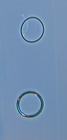 Embase chromé + joint Embase chromé + joint