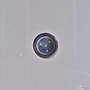 ET ARM Strahlregler komplett,ED/In.Black