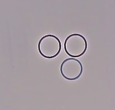 RIC rub o-ring anello canna dia28mm