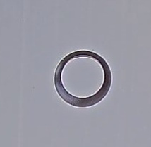 RIC rub coprighiera onix RIC rub coprighiera onix