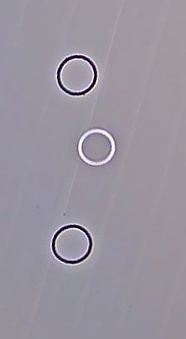 RIC rub o-ring anello dia24mm