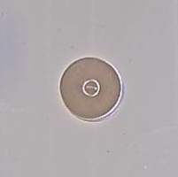 Bouton D35