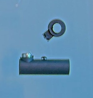 SP tap showerhead active sem 2 jets MB