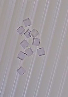 Bouchons de vis (10 pièces) Bouchons de vis (10 pièces)