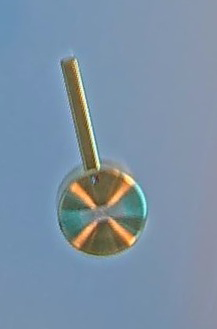 ET ARM Bedienhebel PVD Gold